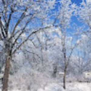 Meet your Posher, Jane